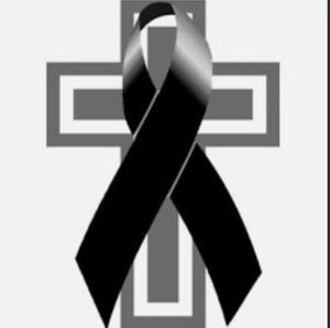 Meet your Posher, Estela